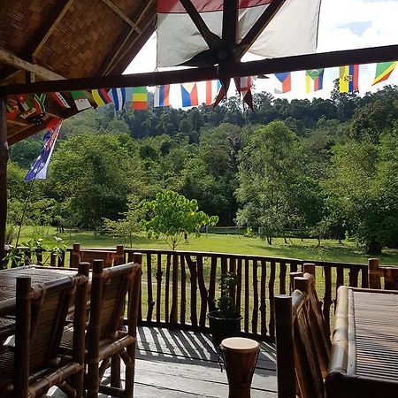 Batu Kapal Guest House & Jungle Trekking Bukit Lawang Exterior photo