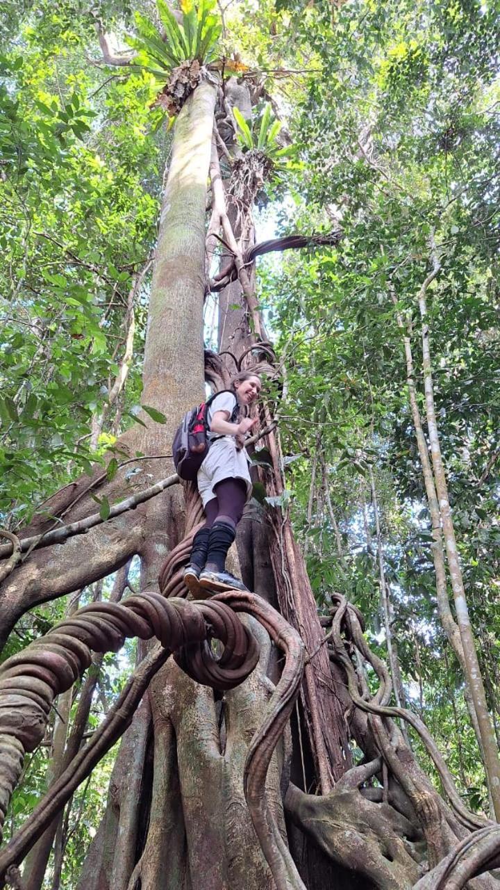 Batu Kapal Guest House & Jungle Trekking Bukit Lawang Exterior photo