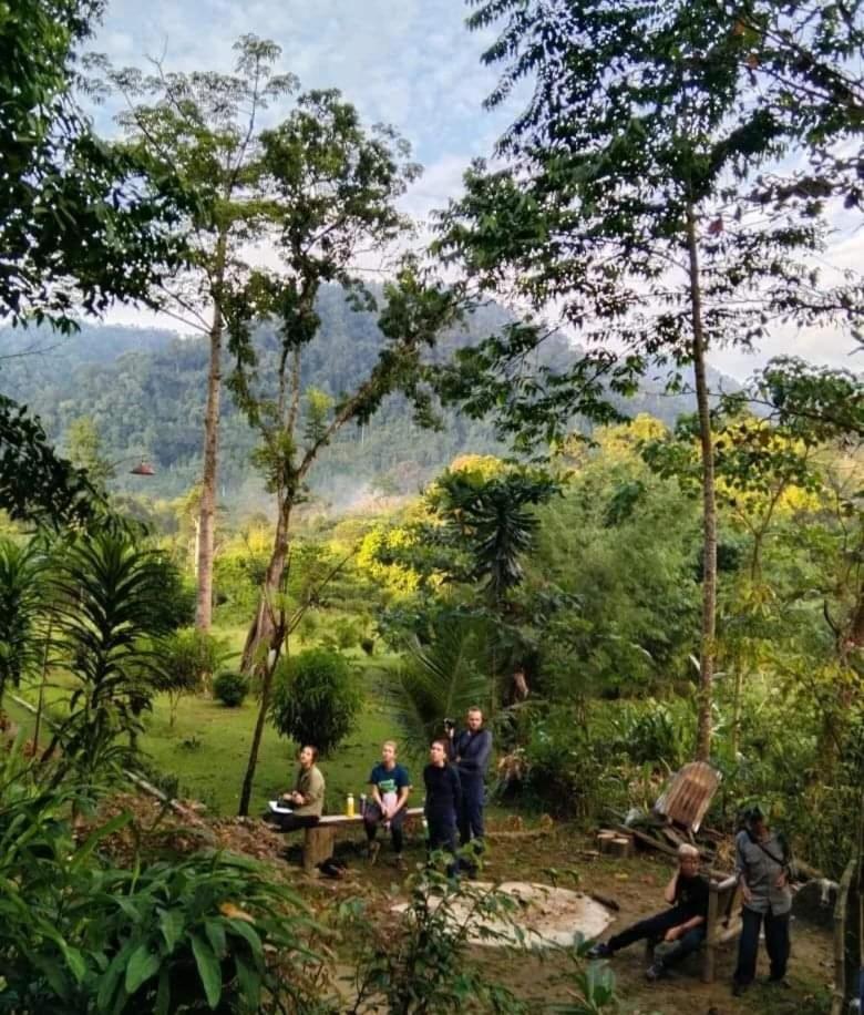 Batu Kapal Guest House & Jungle Trekking Bukit Lawang Exterior photo