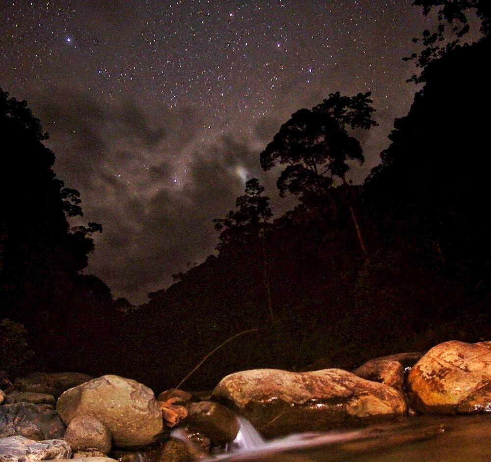 Batu Kapal Guest House & Jungle Trekking Bukit Lawang Exterior photo