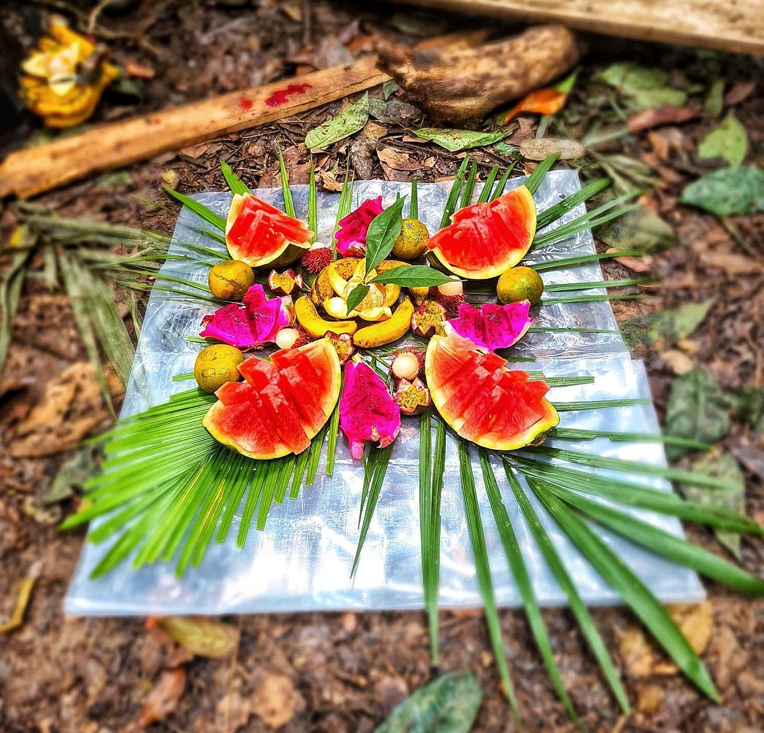 Batu Kapal Guest House & Jungle Trekking Bukit Lawang Exterior photo