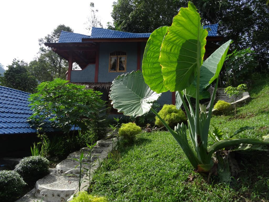 Batu Kapal Guest House & Jungle Trekking Bukit Lawang Exterior photo