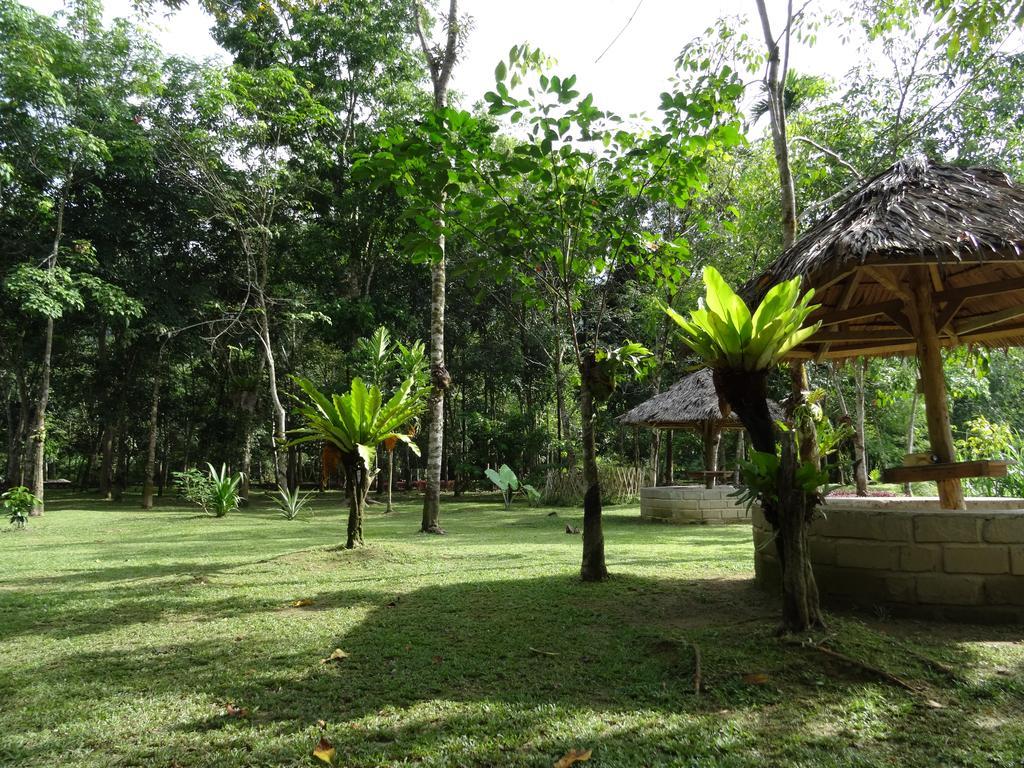 Batu Kapal Guest House & Jungle Trekking Bukit Lawang Exterior photo