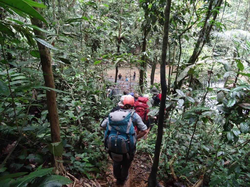 Batu Kapal Guest House & Jungle Trekking Bukit Lawang Exterior photo