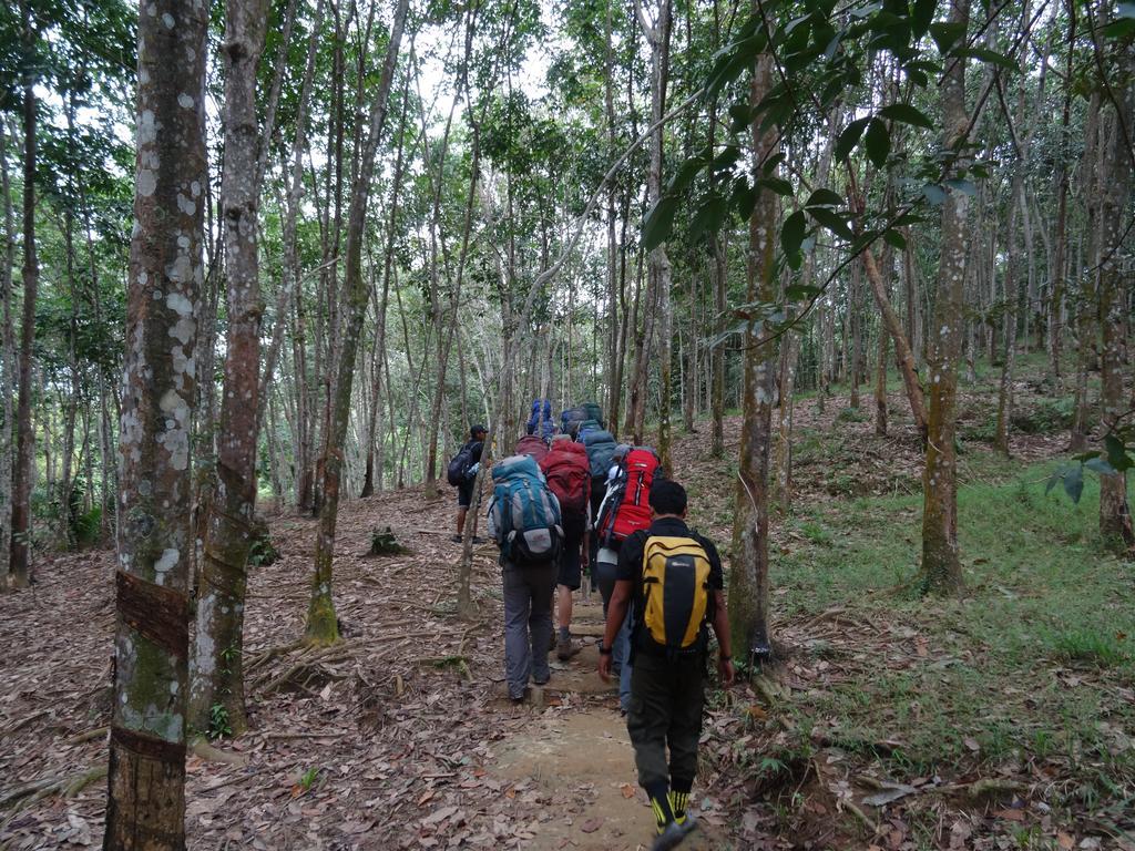 Batu Kapal Guest House & Jungle Trekking Bukit Lawang Exterior photo