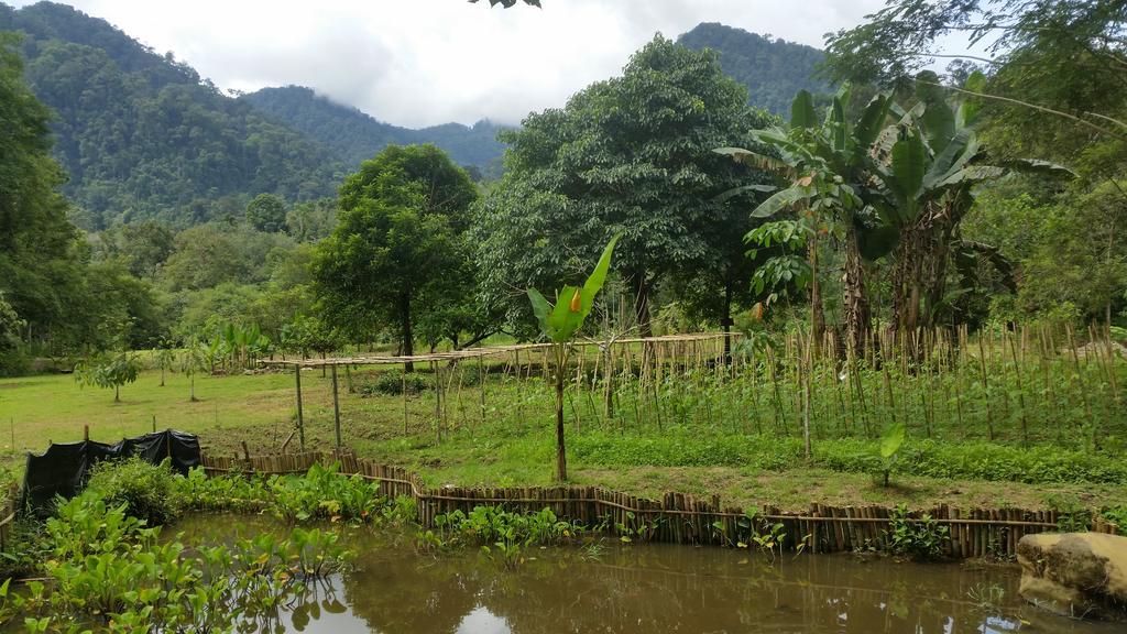 Batu Kapal Guest House & Jungle Trekking Bukit Lawang Exterior photo