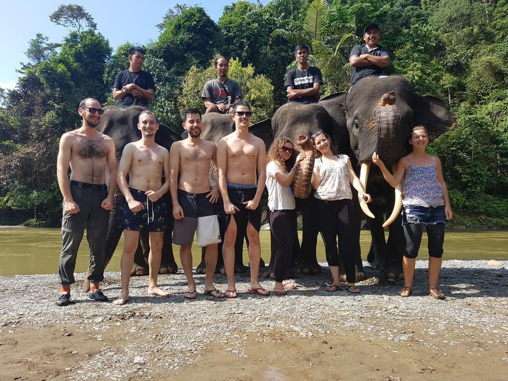 Batu Kapal Guest House & Jungle Trekking Bukit Lawang Exterior photo