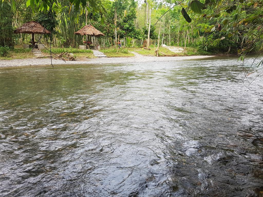 Batu Kapal Guest House & Jungle Trekking Bukit Lawang Exterior photo