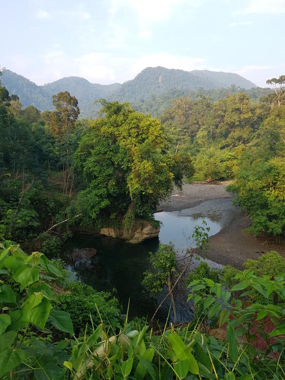 Batu Kapal Guest House & Jungle Trekking Bukit Lawang Exterior photo